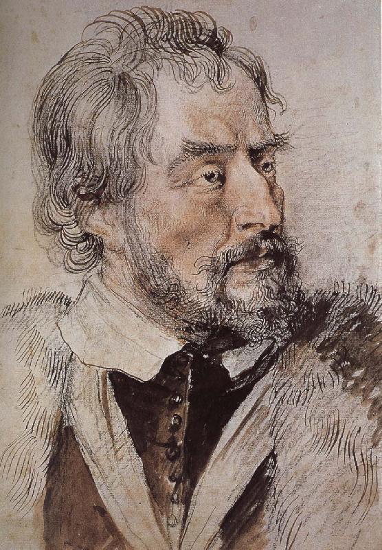Peter Paul Rubens Portrait of thomas oil painting image